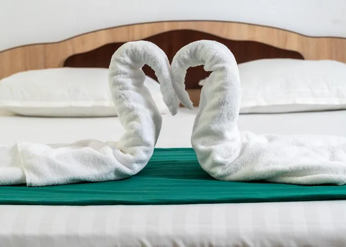 Отель Dobrogea 2*