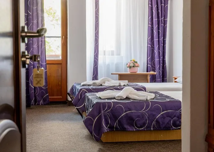 Отель Dobrogea 2*