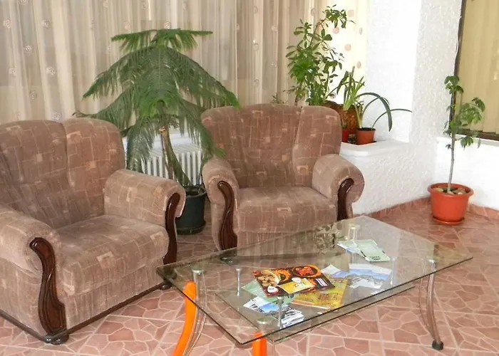 Отель Dobrogea 2*